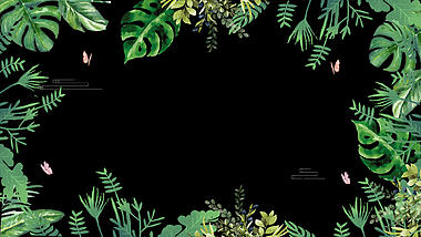夏天森系植物绿叶小清新视频动态边框mov带通道视频的预览图