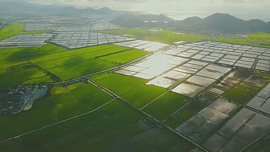 4k清晨阳光照射农村建设生产养殖鱼塘绿色田野航拍视频的预览图