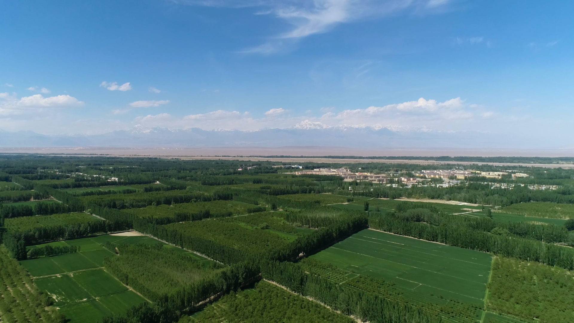 4k新疆沙漠边缘绿洲航拍视频的预览图