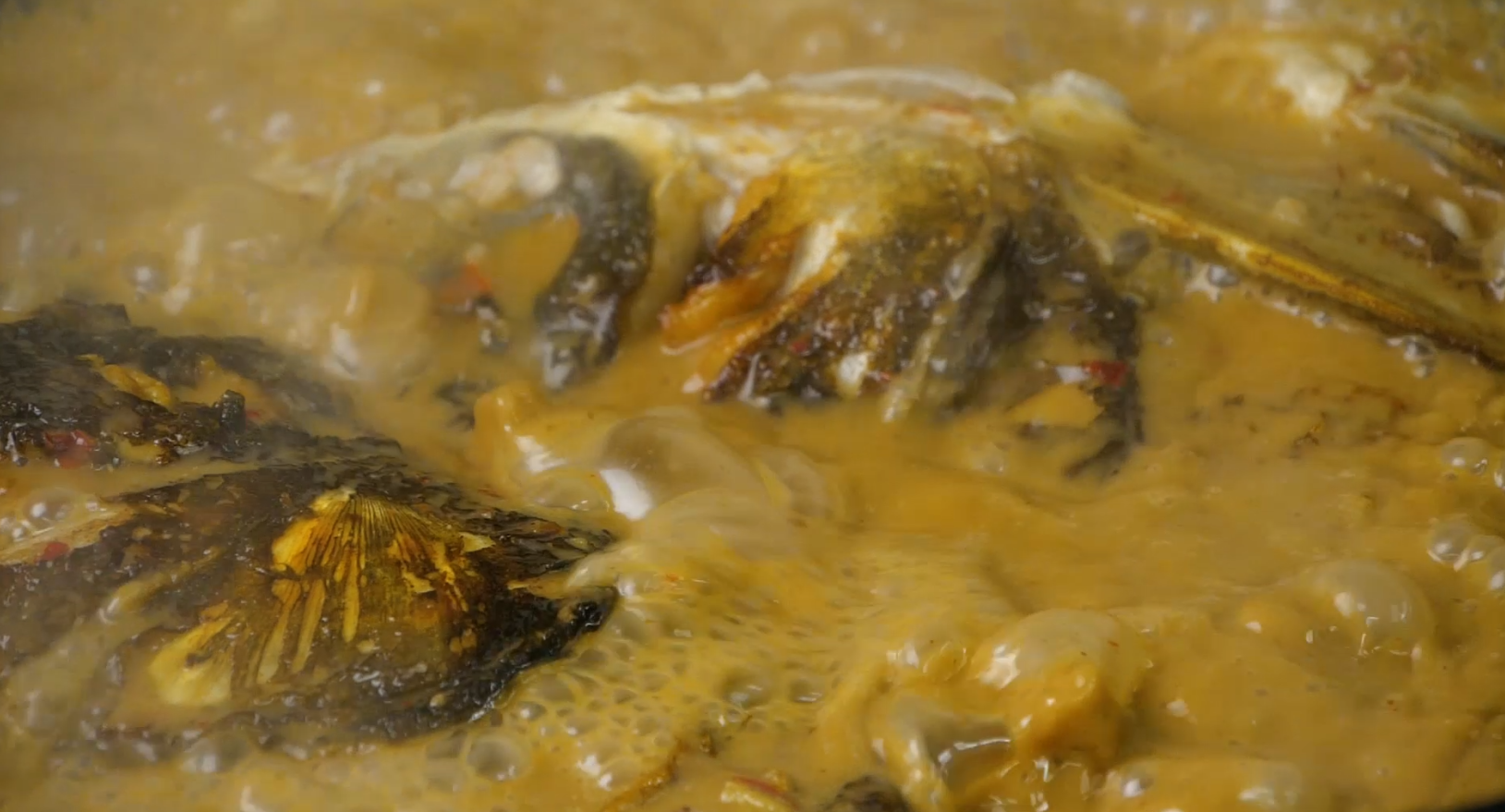 1080升格沸腾的鱼汤鱼头汤白色汤汁炖汤视频的预览图