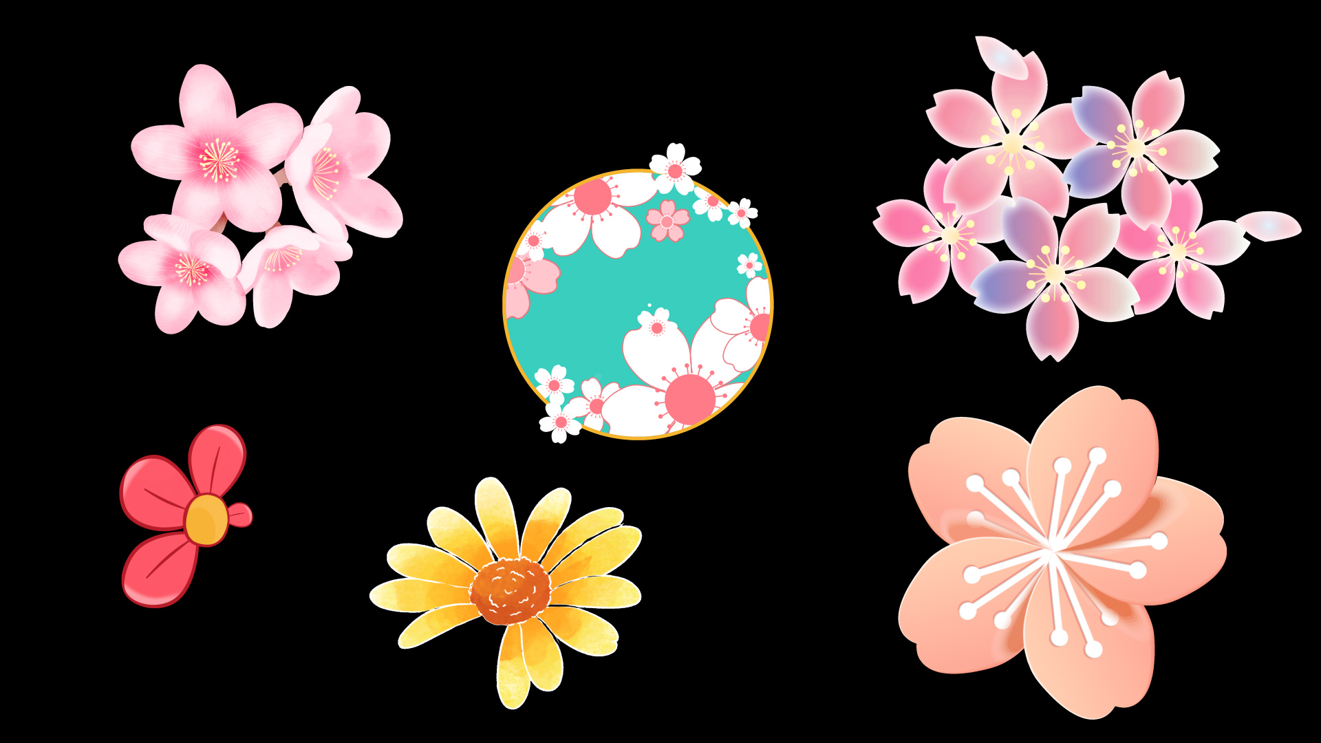 春天樱花花瓣唯美国潮粉色日本和风向日葵带通道mov综艺节目真人秀小元素视频的预览图