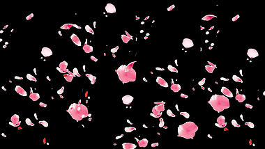 桃花花瓣装饰视频动态素材带通道mov视频的预览图