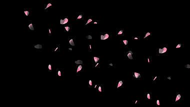春天桃花花瓣飘落漂浮粉色带通道mov视频动态素材视频的预览图