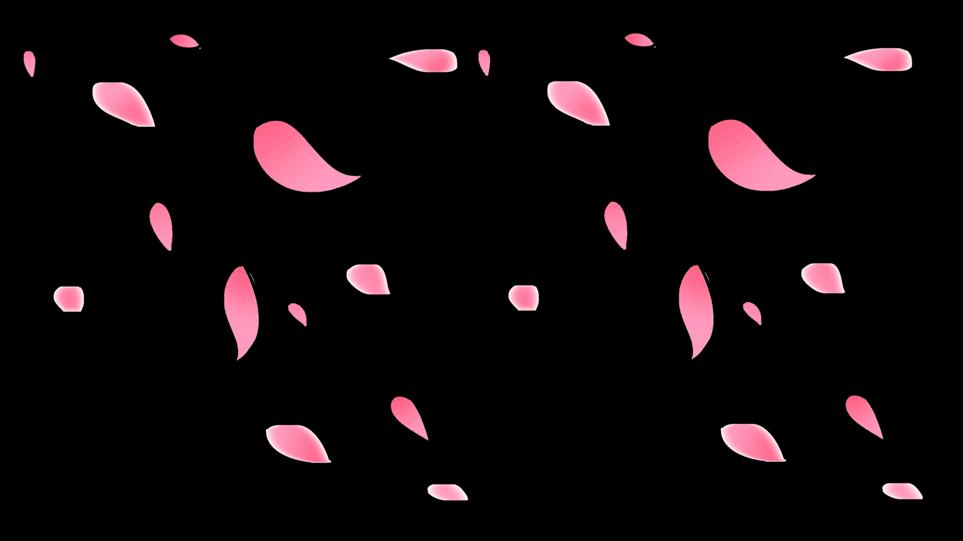 粉红色花瓣动态动作带通道MOV视频动态素材视频的预览图