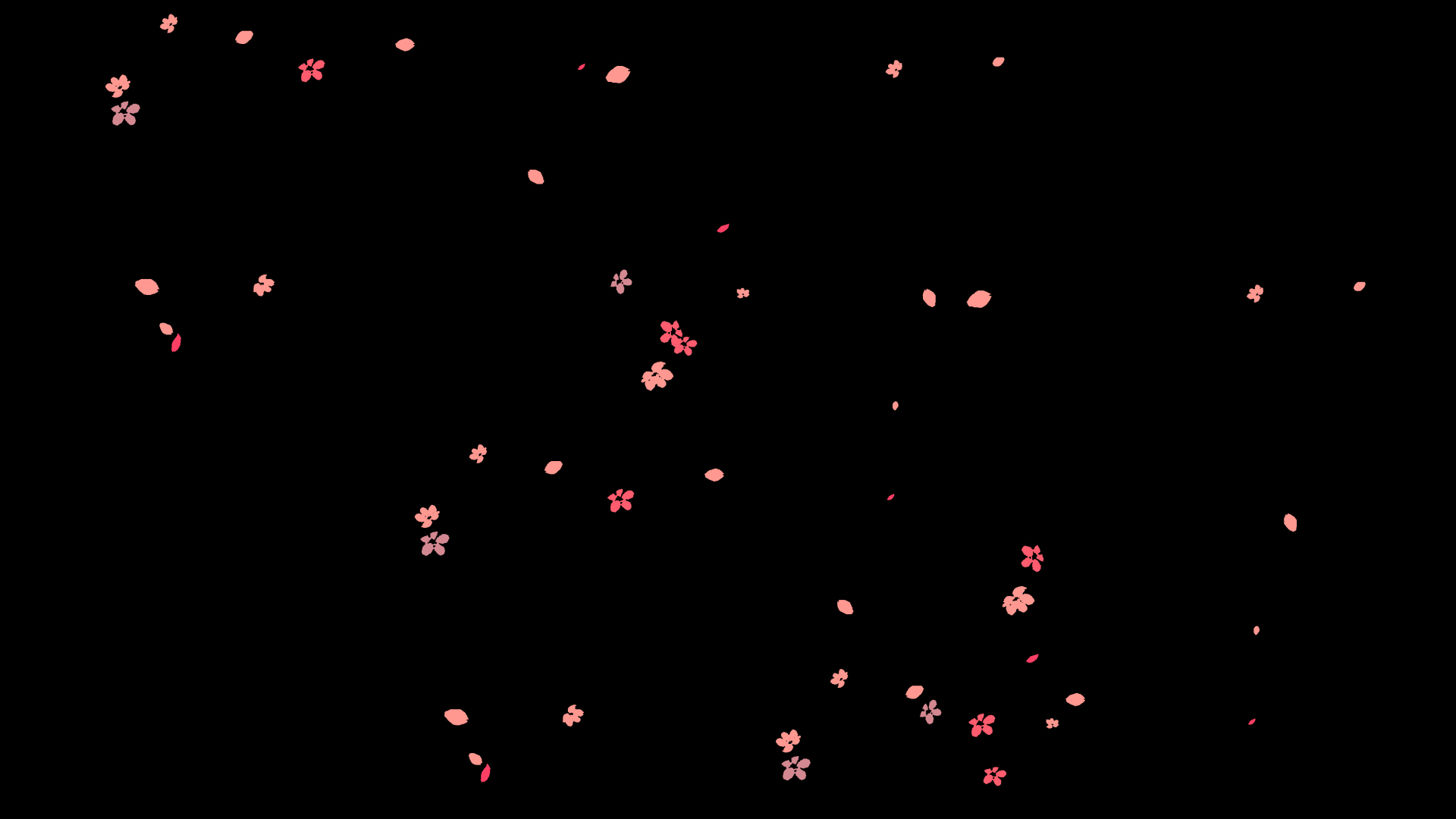 粉色花瓣花朵桃花樱花漂浮飘落视频动态素材带通道mov视频的预览图