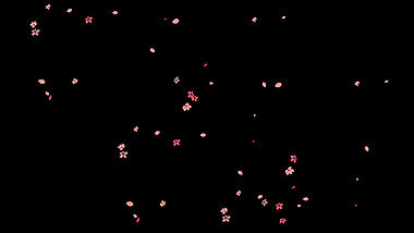粉色花瓣花朵桃花樱花漂浮飘落视频动态素材带通道mov视频的预览图