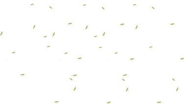 春天植物蒲公英花瓣飘落吹散底纹漂带通道mov视频动态素材视频的预览图