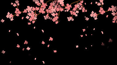 梅花粉色桃花樱花植物树枝开花视频动态素材带通道mov视频的预览图