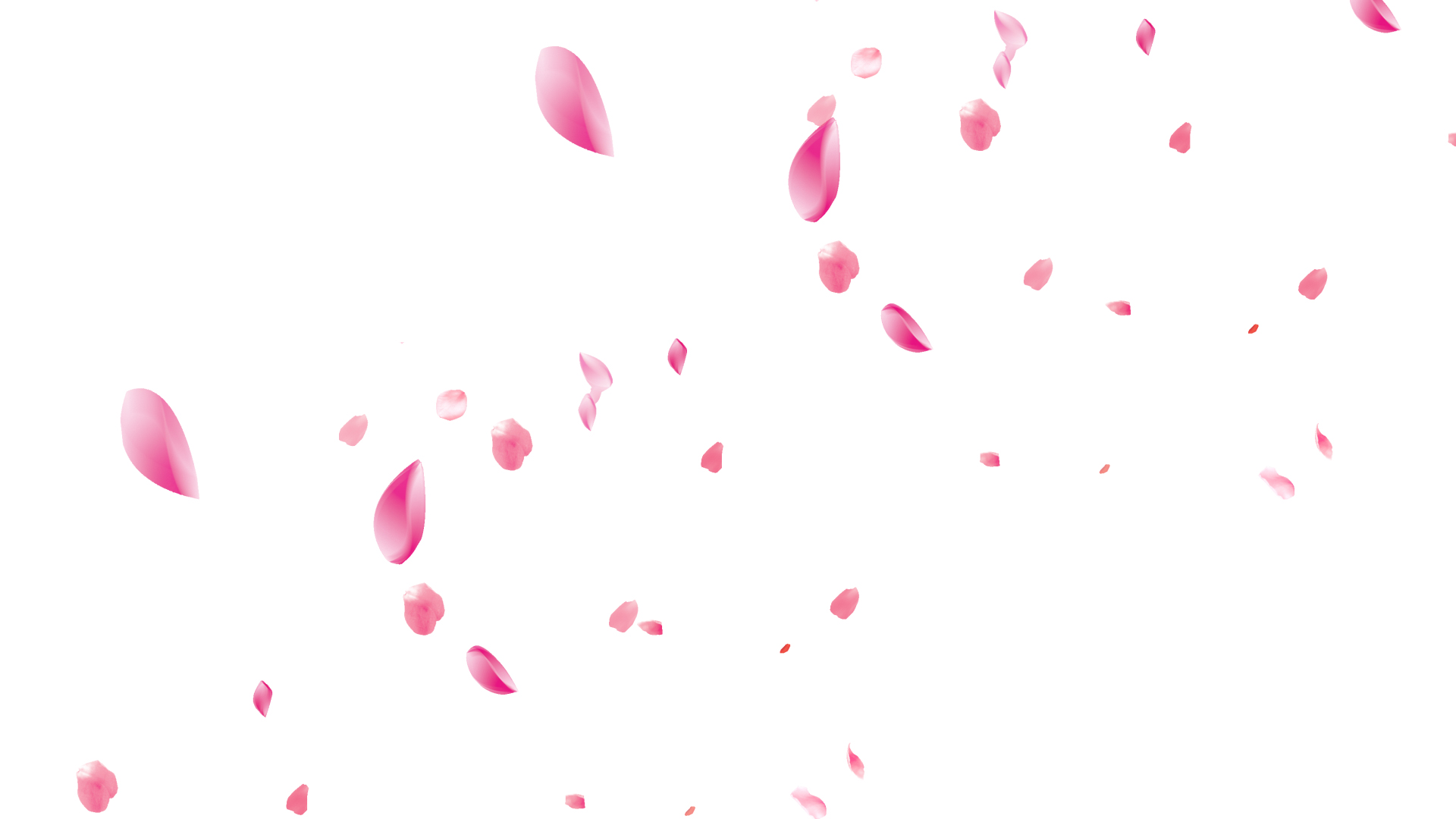 春天花瓣装饰漂浮元素浪漫视频动态素材带通道mov视频的预览图