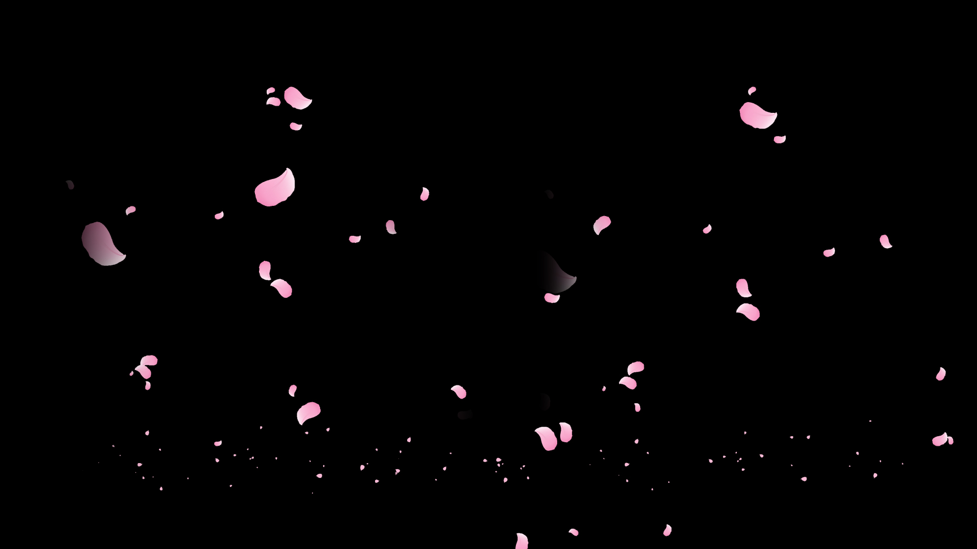 春天花瓣雨桃花飘浮浪漫粉色带通道mov视频动态素材视频的预览图