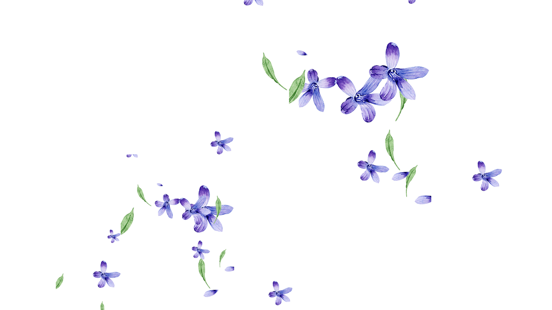 漂浮花瓣树叶飘落紫色清新带通道mov视频动态素材视频的预览图