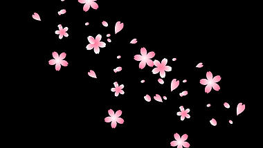 春天花瓣樱花飘落漂浮卡通粉色带通道mov视频动态素材视频的预览图