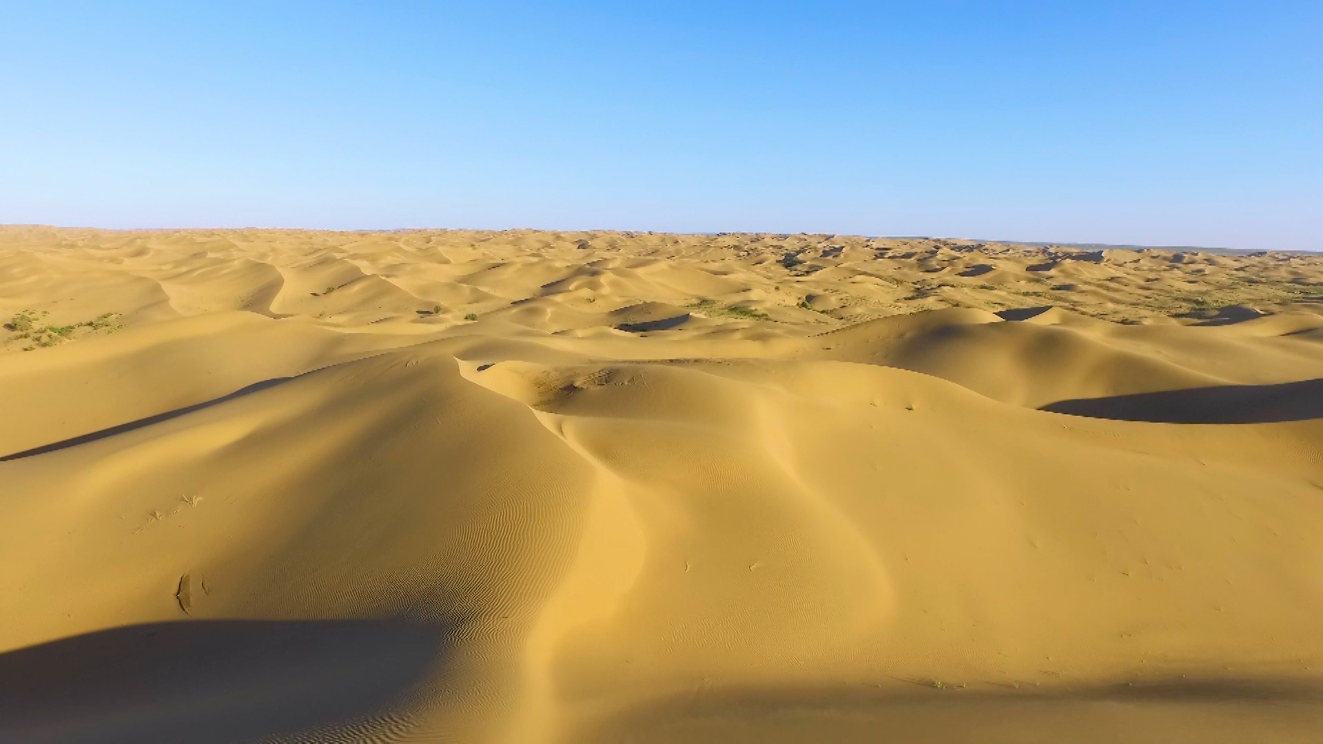 1080新疆南疆金黄沙漠航拍视频的预览图