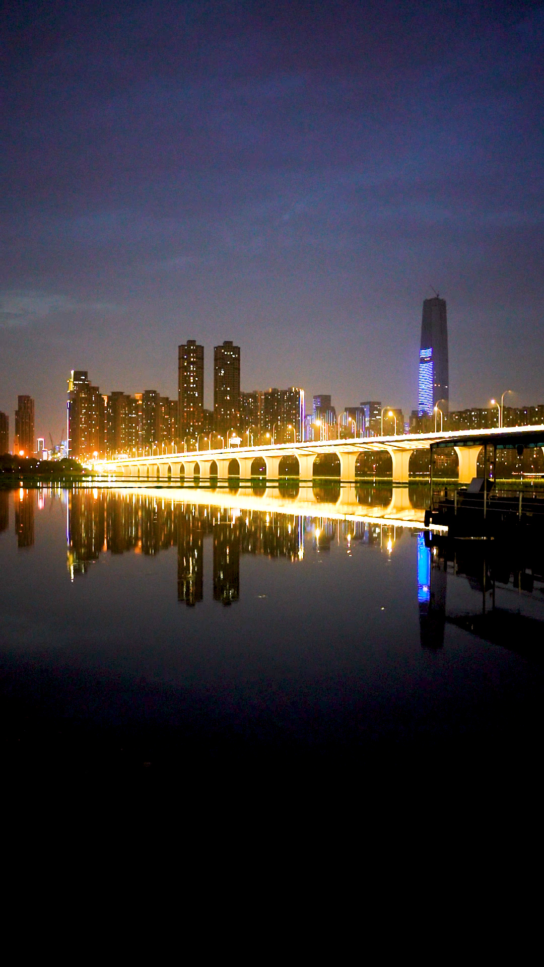 4K竖屏武汉城市地标沙湖大桥延时夜景实拍视频视频的预览图