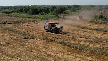 4K航拍农田农业收割机收麦子丰收季视频的预览图