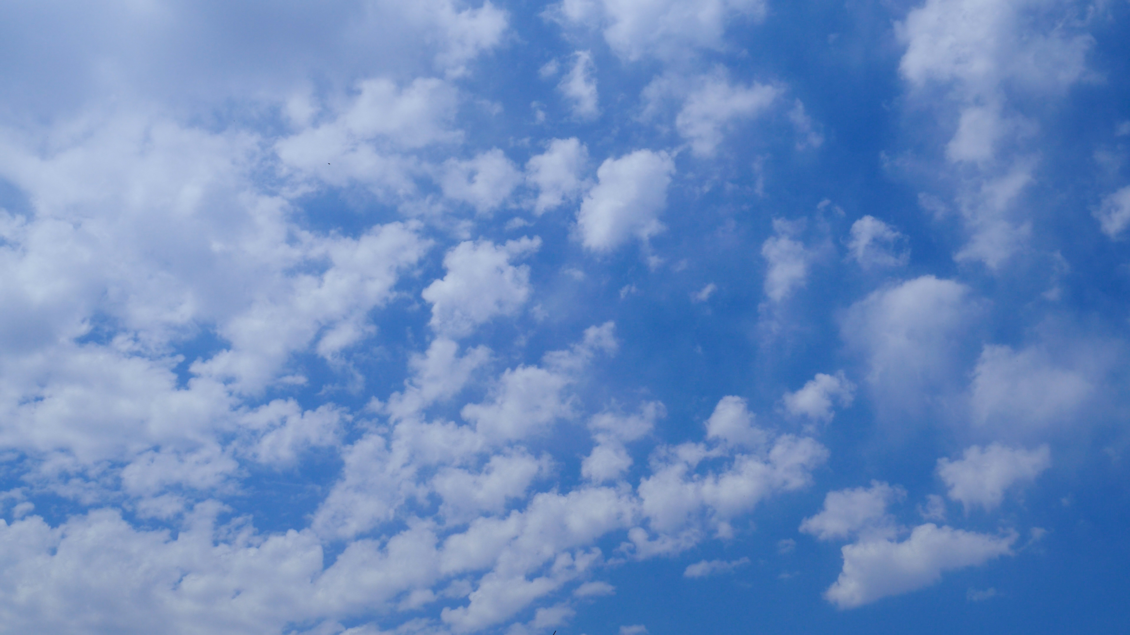 4K晴天蓝天白云延时自然风景摄影视频的预览图