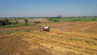4K航拍农忙季节农田麦子收割机收麦子丰收季视频的预览图