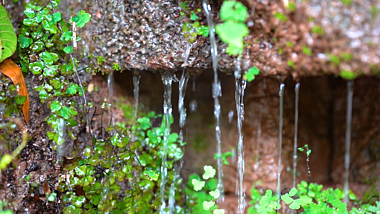 4K夏季夏天夏日高清唯美水流流水升格意境自然风景视频的预览图