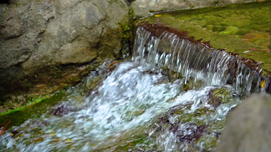4k实拍夏日唯美风光水流溪流流水自然风景视频的预览图