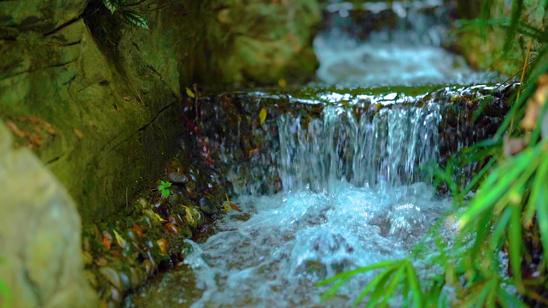 4k实拍夏日夏季夏天山间水流溪流升格自然风景视频的预览图