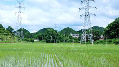 4K交通工具窗外农田风景稻田风光视频的预览图