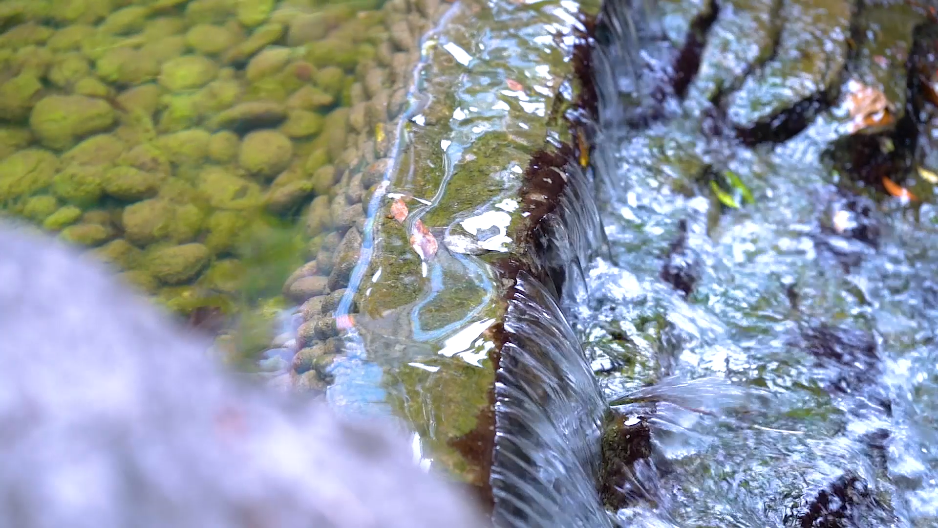 4k实拍夏日风光流水的溪流意境自然风景视频的预览图