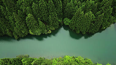 4K实拍深山森林湖泊大自然交相辉映视频视频的预览图