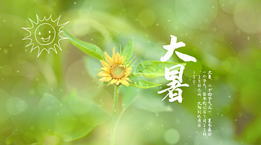 大暑节气向日葵太阳自然视频海报ae模版视频的预览图