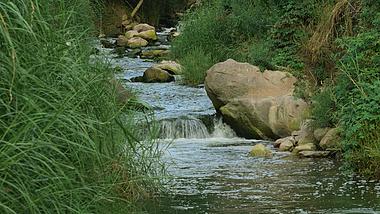 4k小溪溪流水流流水小河自然景观实拍视频的预览图