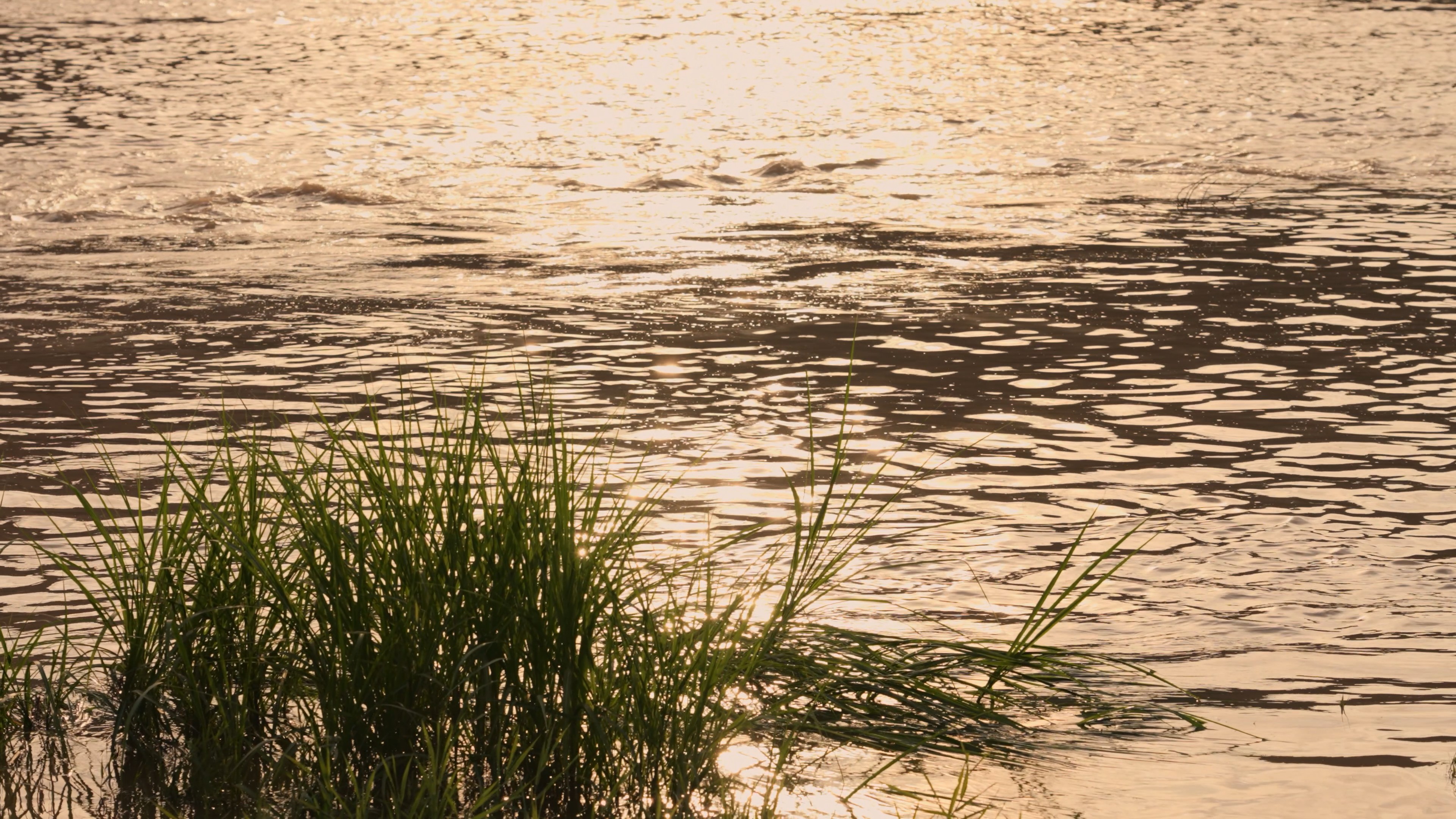4k夕阳下湖水湖面波光粼粼唯美空镜意境自然风景视频的预览图