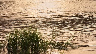 4k夕阳下湖水湖面波光粼粼唯美空镜意境自然风景视频的预览图