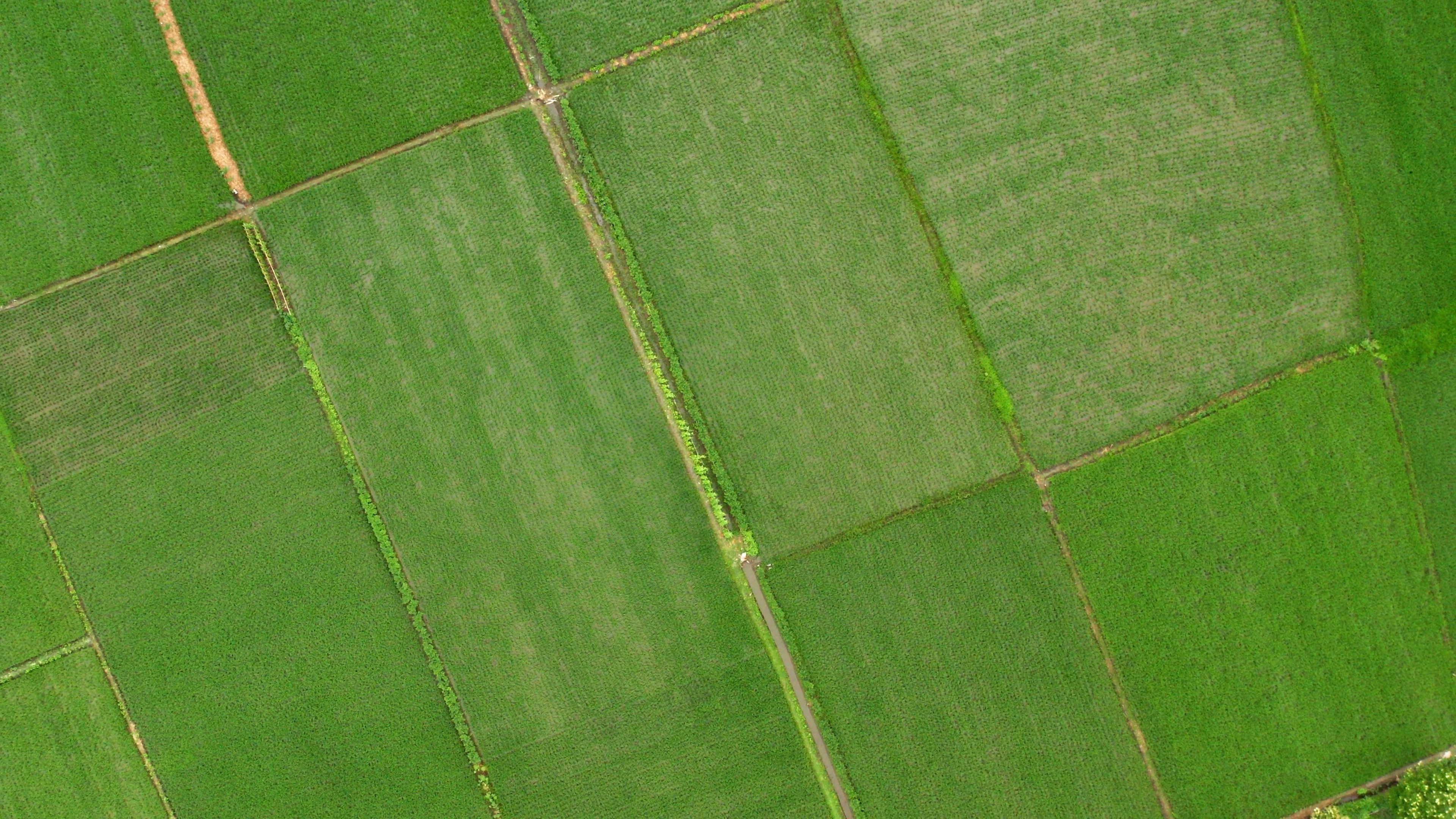 4K垂直航拍农村农田格局乡村田园风景风光视频的预览图