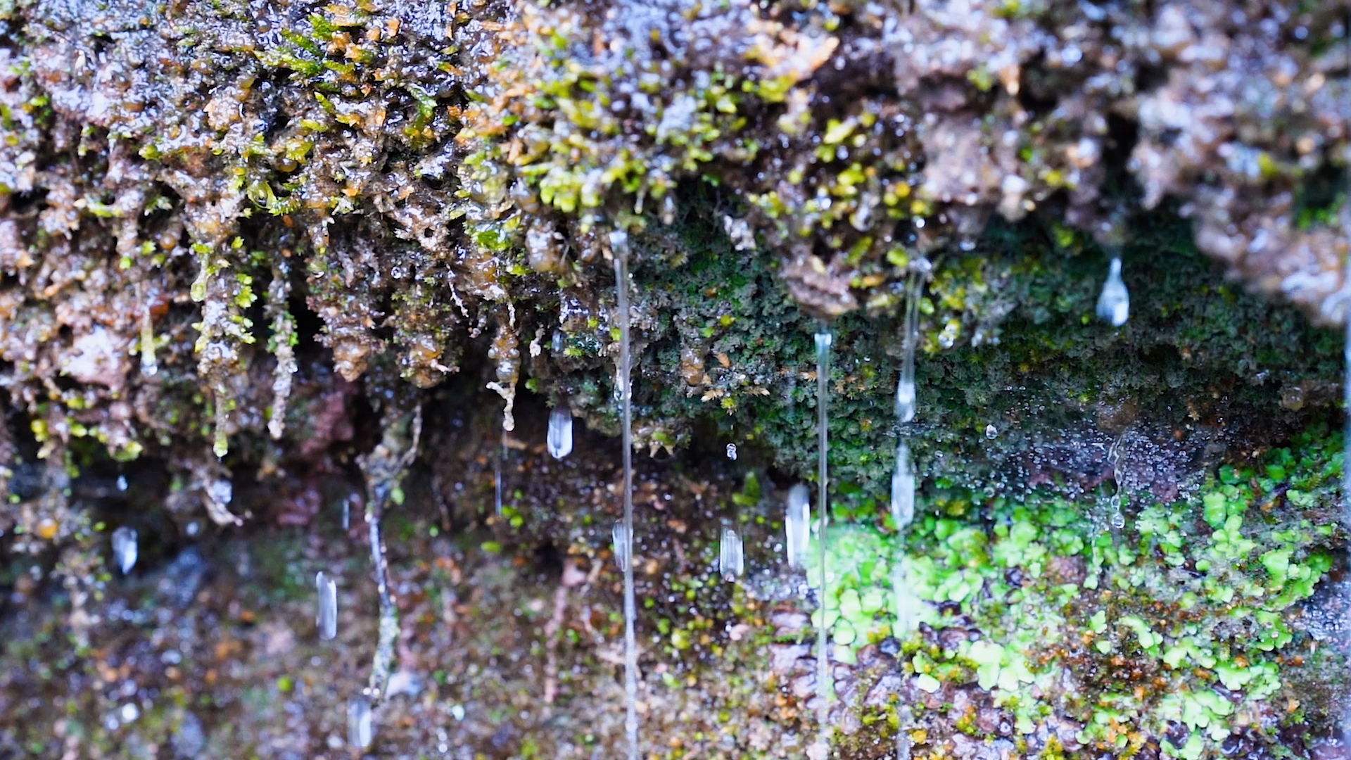 4k实拍唯美夏日山间水流升格自然风景岩石水滴视频的预览图