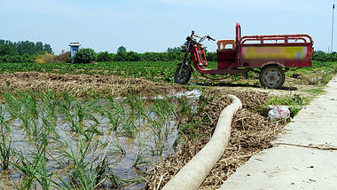 4k农业灌溉抗旱稻田田地灌溉浇水视频的预览图