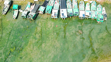 4k航拍停泊在避风港里的渔船视频的预览图