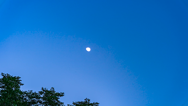4k实拍夏日风光夜晚下的月亮视频的预览图