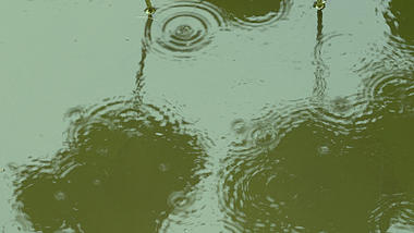 4K下雨天雨滴滴落湖面泛起波纹实拍视频的预览图
