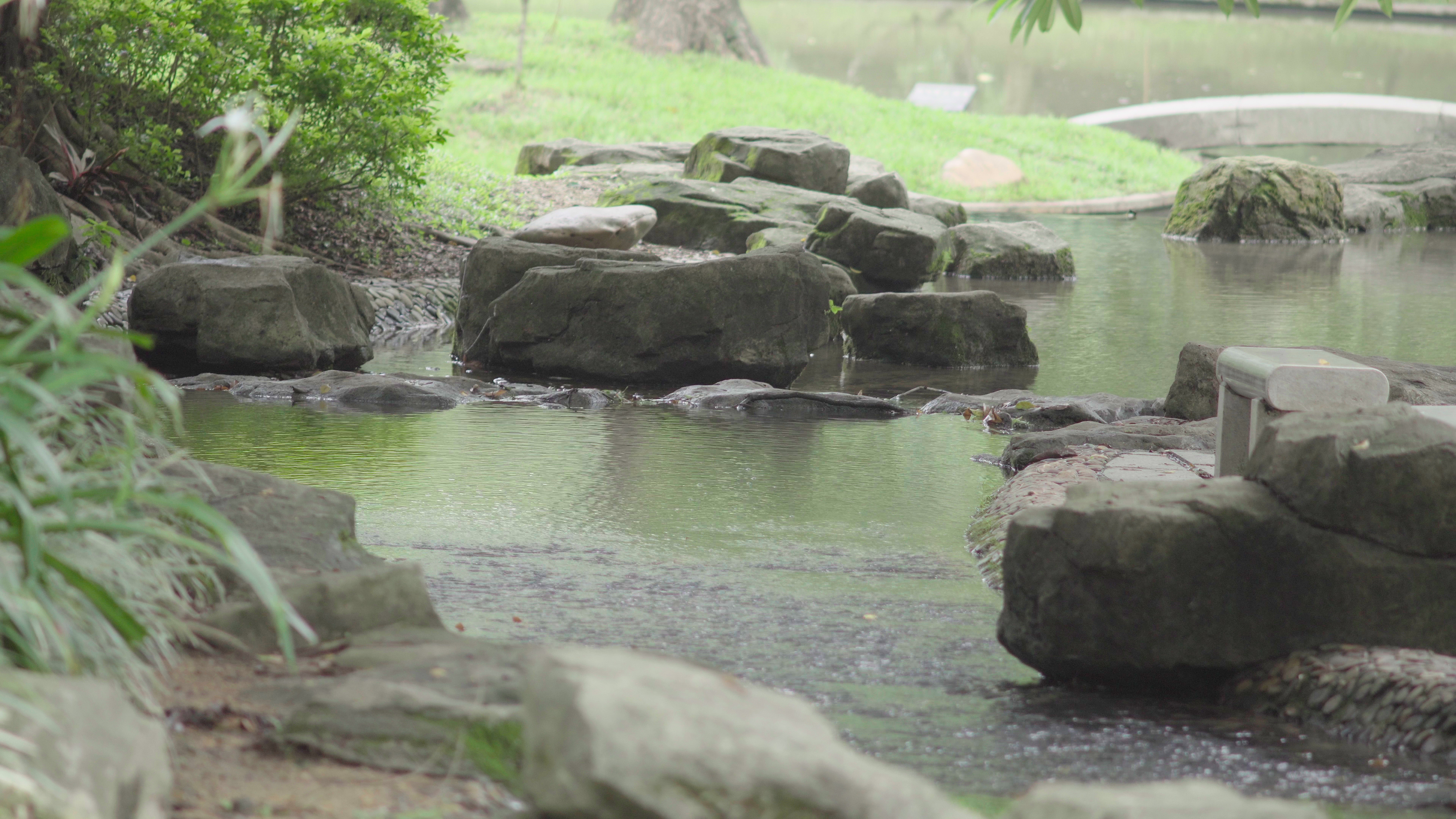 4k公园小溪意境空镜素材流水水流视频的预览图