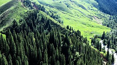 4K航拍新疆奇台江布拉克草原自然美景大山自然风景视频的预览图