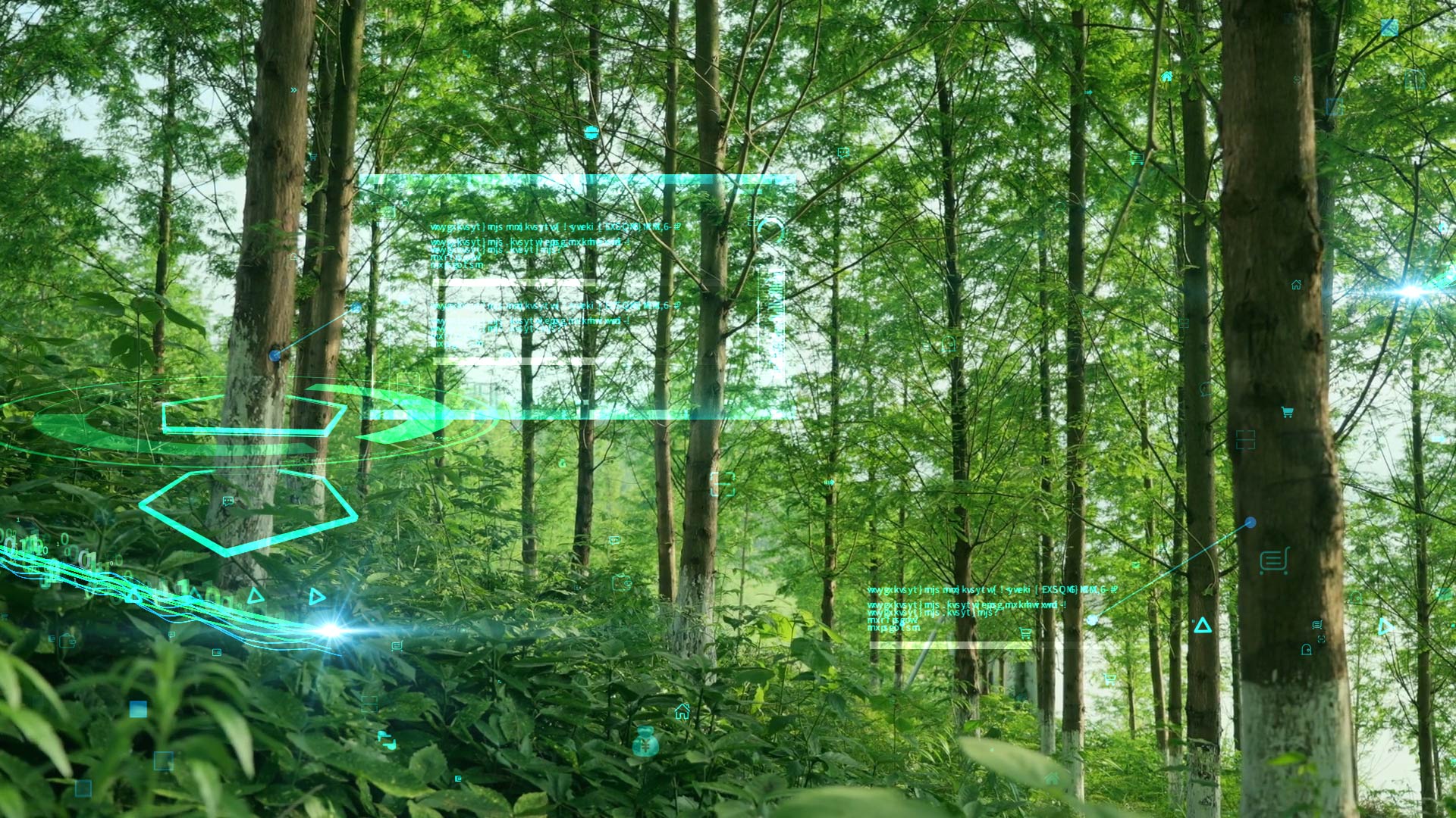 原创生态科技自然森林荷花科技合成AE视频模板视频的预览图