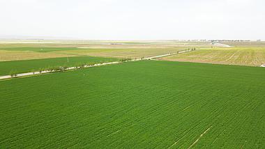 高原农业基地种植业4K航拍视频的预览图