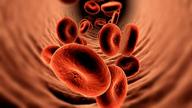 红色3d细菌穿越血管血小板视频背景视频的预览图