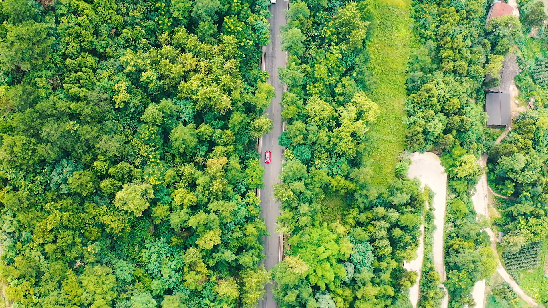4k航拍夏日山间公路上行驶的汽车视频的预览图