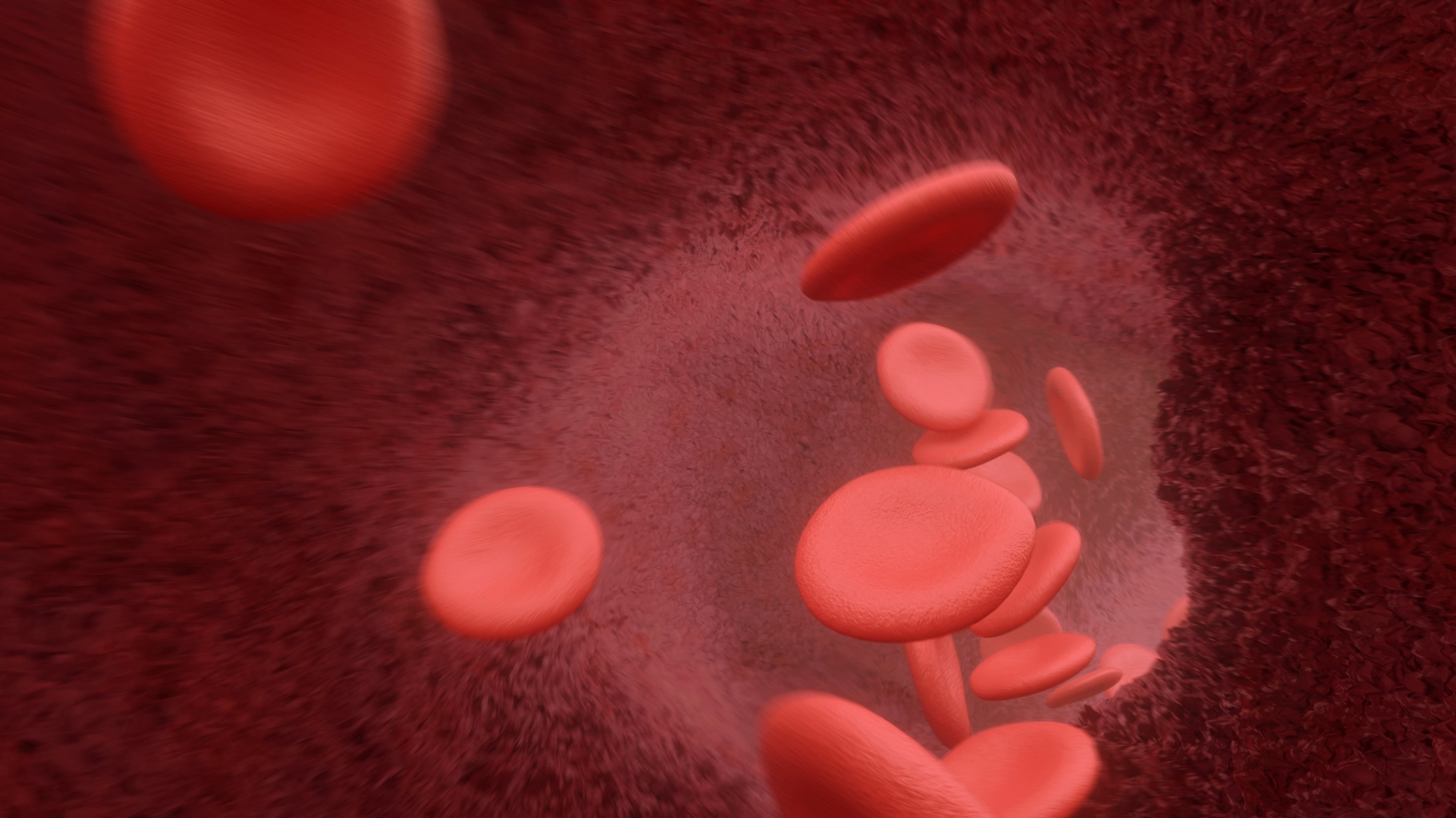 红色细菌血小板视频素材背景视频的预览图