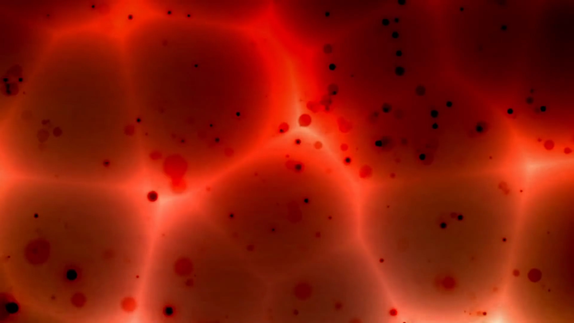 红色细菌蠕动视频背景视频的预览图