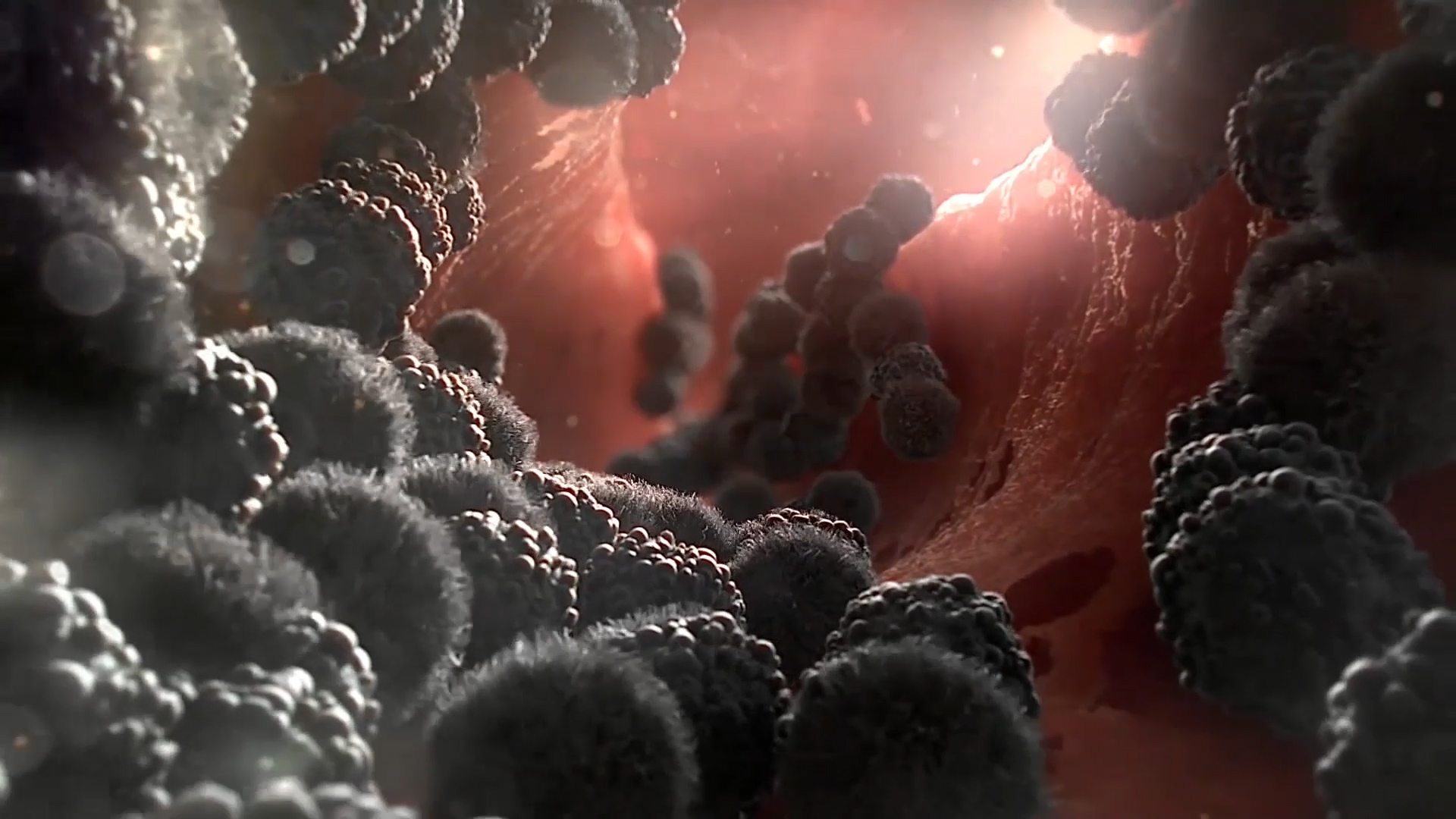 黑色细菌医学素材视频背景视频的预览图