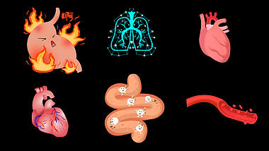 人体器官胃胃部胃痛火苗难受生病血管mov带通道视频元素视频的预览图