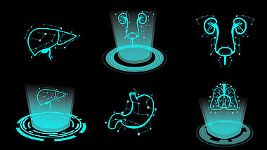 医疗科技感人体器官肾脏圆环光线肝脏mov带通道视频元素视频的预览图