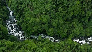 4K航拍森林自然河流自然风景风光视频视频的预览图