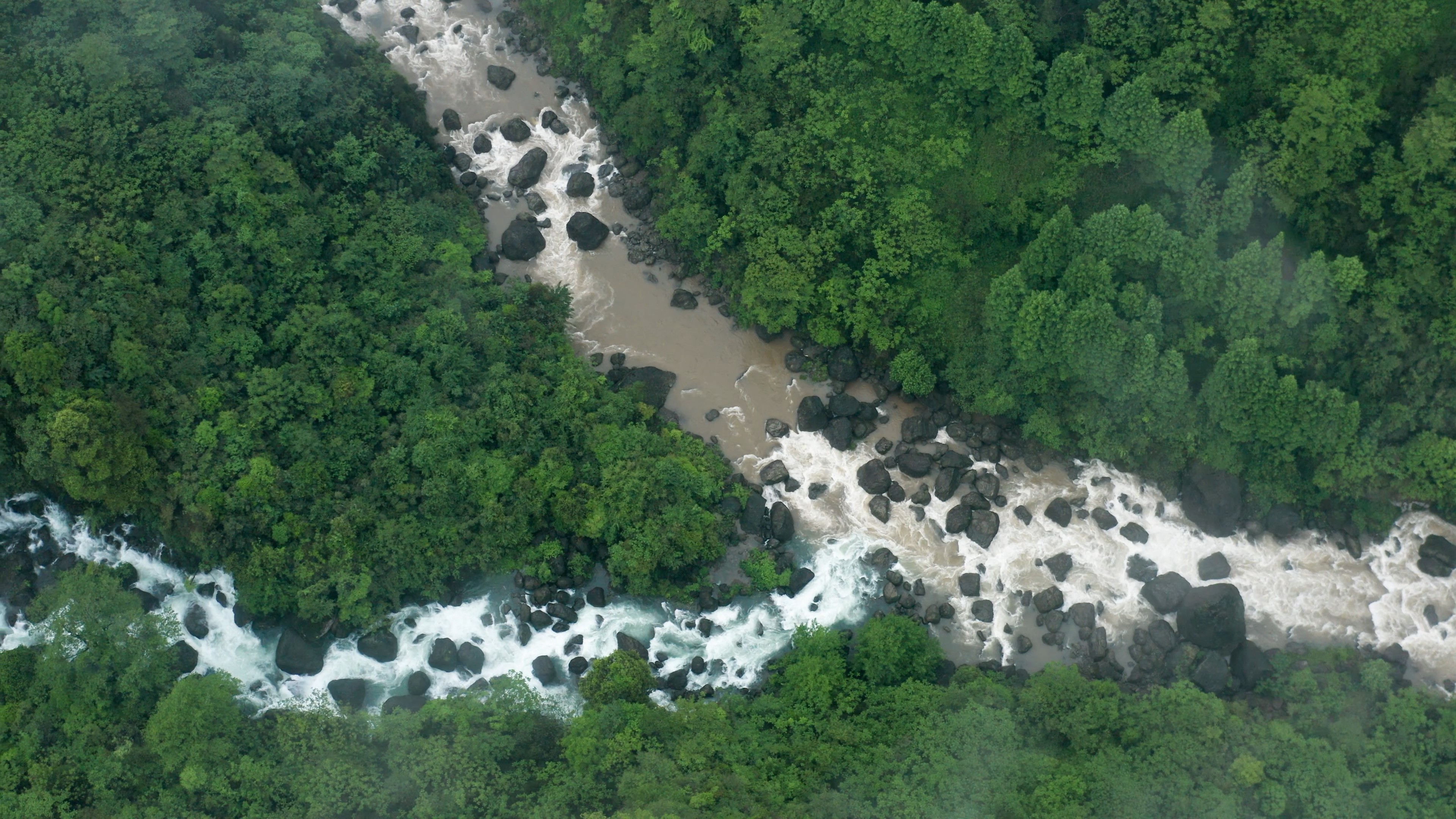 4K航拍森林自然河流视频自然风景风光视频的预览图